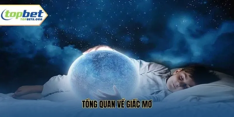 Tổng quan về giấc mơ